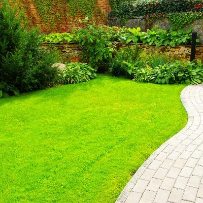 Yard Deodorizing